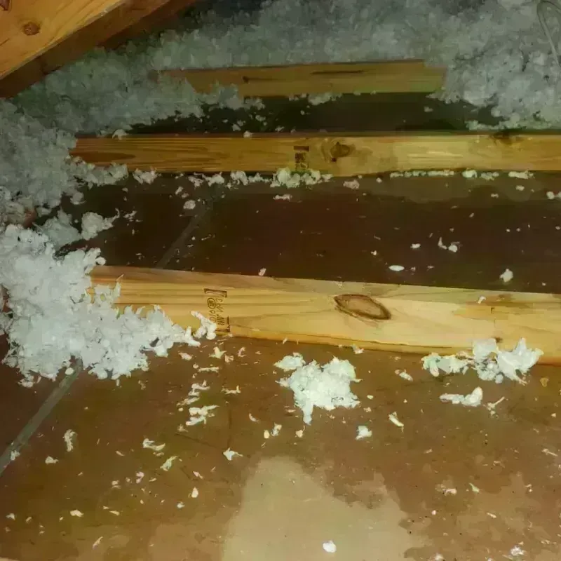 Attic Water Damage in Hardin County, IA