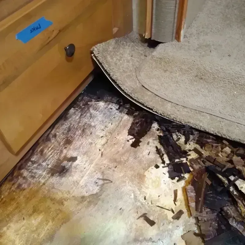 Wood Floor Water Damage in Hardin County, IA